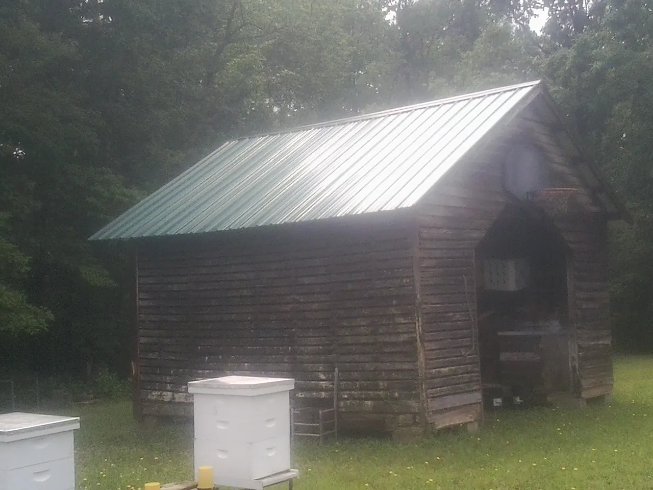 Green metal roof on a weathered barn beside stacked beehives in Albany